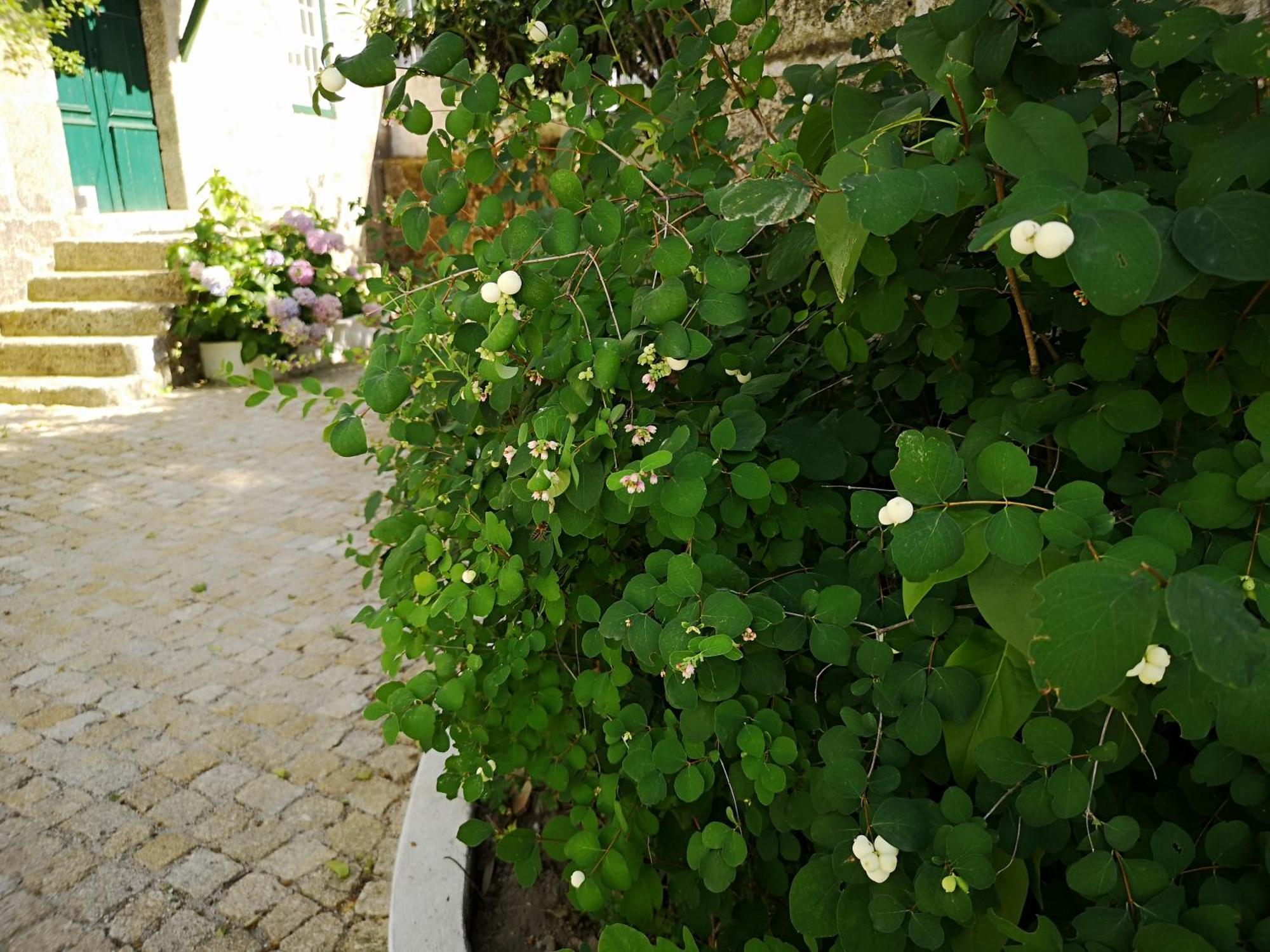 Vila Refugio De Calheiros Covilhã Exteriér fotografie
