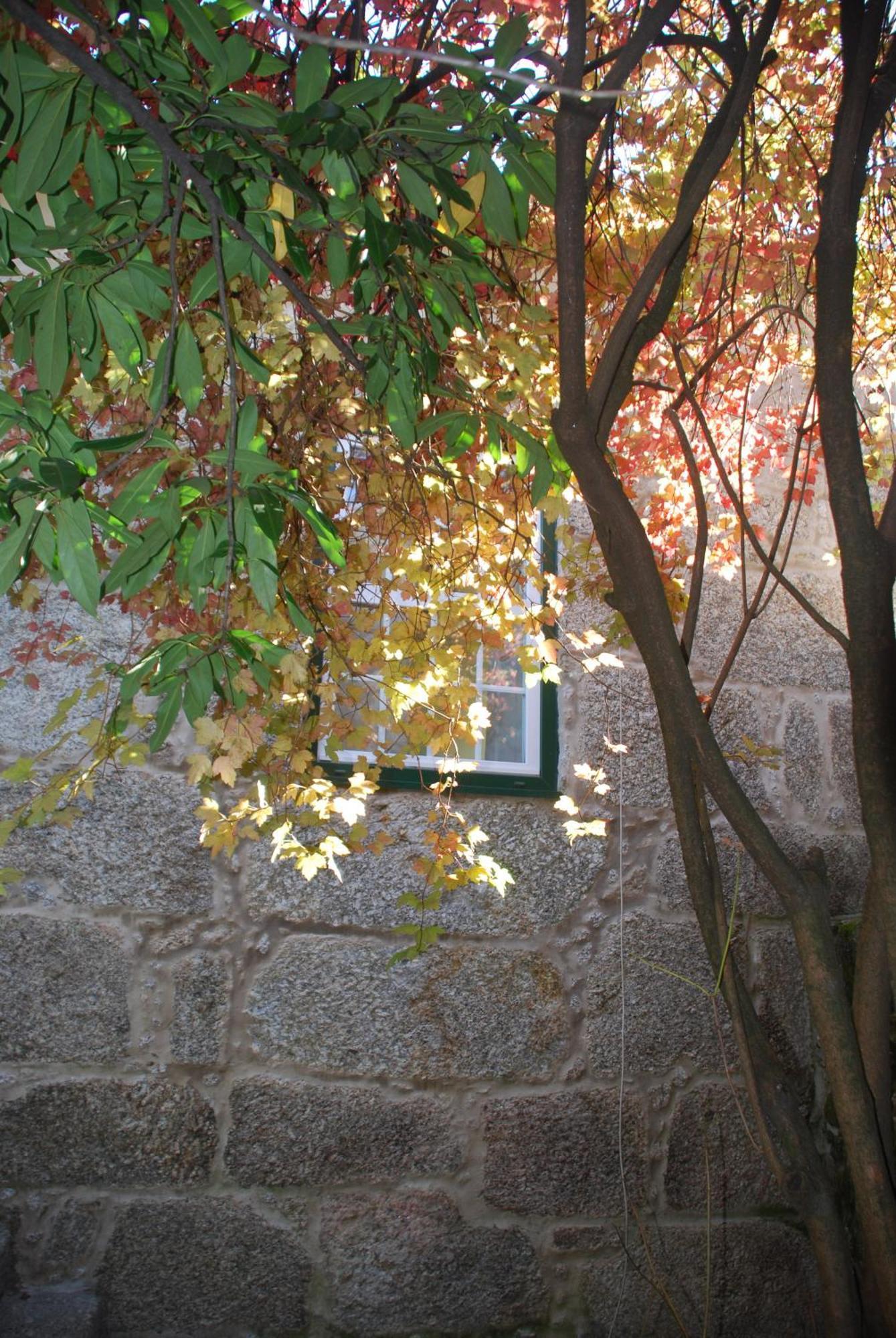 Vila Refugio De Calheiros Covilhã Exteriér fotografie